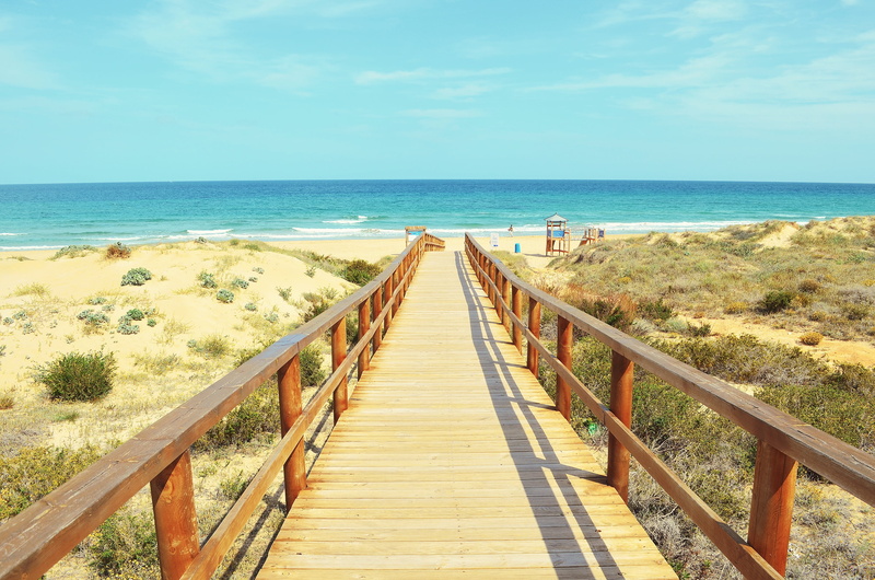 pathway, direction, waves, sand, beach, 2K, wooden, long, coast, land, horizon over water, wood, diminishing perspective, sunny, grass, cottage, scenics - nature