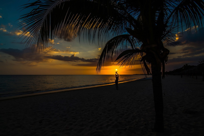 arms up, sea, sky, 1080P, dark, palm trees, sunset, beach, sunlight