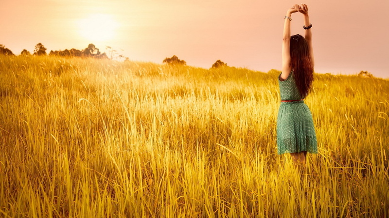 human limb, plant, limb, human body part, grass, women outdoors, rear view, sun, women, arms raised, polka dots, adult, sunset, freedom, blue dress, beauty in nature
