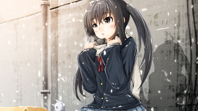 day, leisure activity, clothing, bangs, hairstyle, one person, window, beautiful woman, three quarter length, looking, portrait, standing, waist up, Nakano Azusa