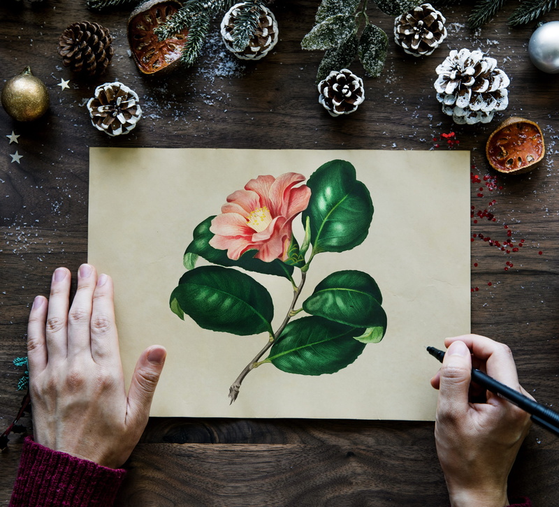 pinecones, yuletide, finger, rose, tradition, 1080P, real people, plant part, new year, writing, indoors, rose - flower, beauty in nature, leaf, occasion