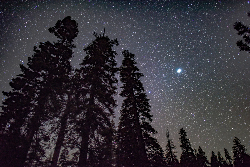 tranquility, sky, snow, christmas, dusk, landscape, milky Way, stars, starry sky, pine, white, scenics - nature, space and astronomy, tree, trees, infinity
