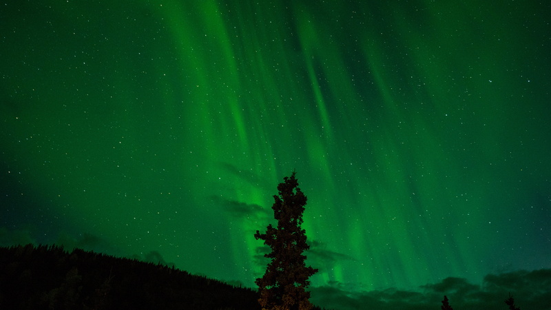 scenics, scenics - nature, space, science, aurora, silhouette, green, star Shape, tranquil scene, phenomenon, night, 5K, low angle view, cold temperature