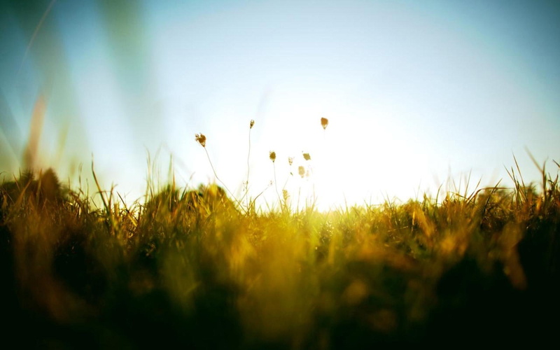 light, 3d and abstract, nature, grass, 1080P, radiance