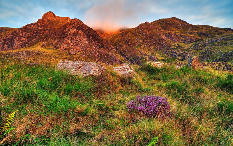 Sky, Clouds, Snowdonia, Rocks, 2K, Flowers, Grass, Mountains