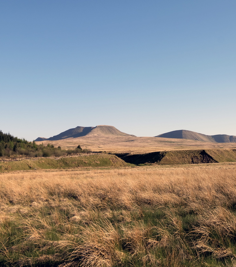mountain range, britain, wilderness, summer, uk, no people, brecon beacons national park, environment, tranquility, grass, 2K, beauty in nature, plant