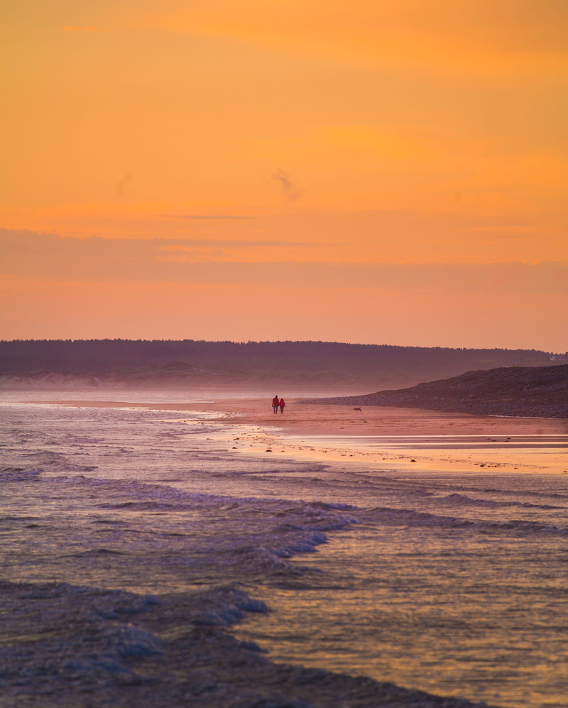 sky, hour, nature, couple, one person, dog, idyllic, tree, sea, orange color, beach, sand, sunset, 2K, real people, water, walk, seashore, outdoors, waterfront