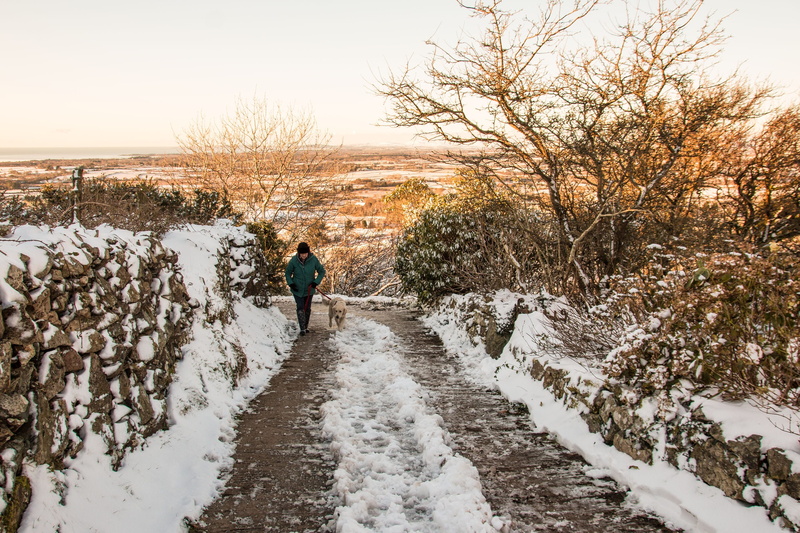 scenic, frozen, frost, outdoors, season, real people, walking, 2K, natural, day, environment, full length, weather, snowdonia, tree, winter, landscape