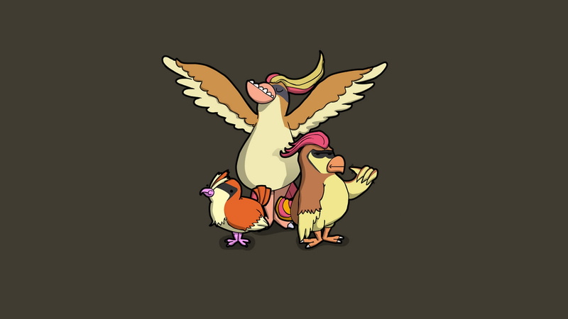 Pidgeot, flying, Pidgey, PG, 1080P, pokemon, caricature, pijit, Pidgeotto