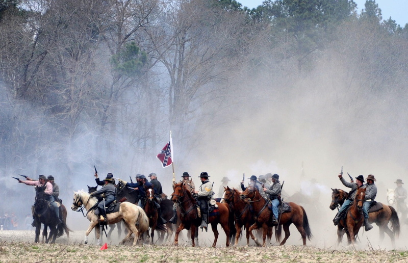 military, animal wildlife, livestock, riding, mammal, day, domestic animals, group, musketeer, reenactment, activity, tree, battle, group of animals, pets