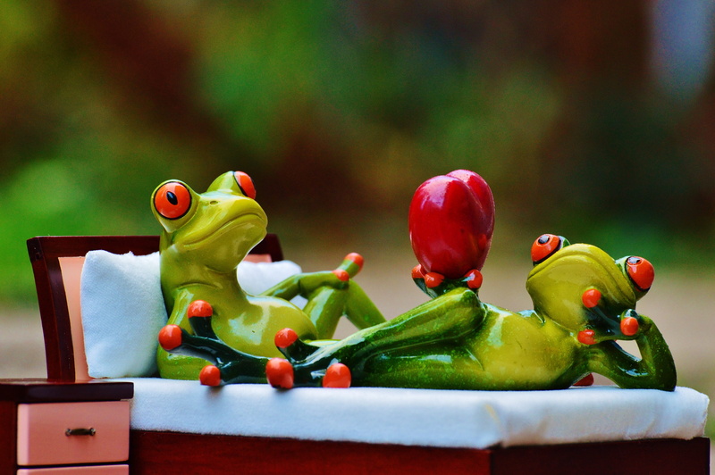 green color, day, Heart, couch, 4K, Love, funny, animal representation, Frog, close-up, wellbeing, selective focus, red, Bedside Table, fruit, creativity