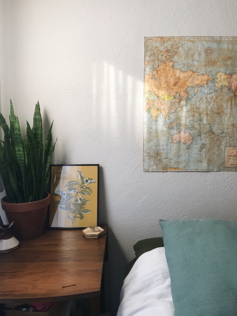 houseplant, natural light, empty, 4K, candle, bed, potted plant, absence, bedroom, cushion, wood, relaxation, ,houseplant, house, plant, wall, indoor plant