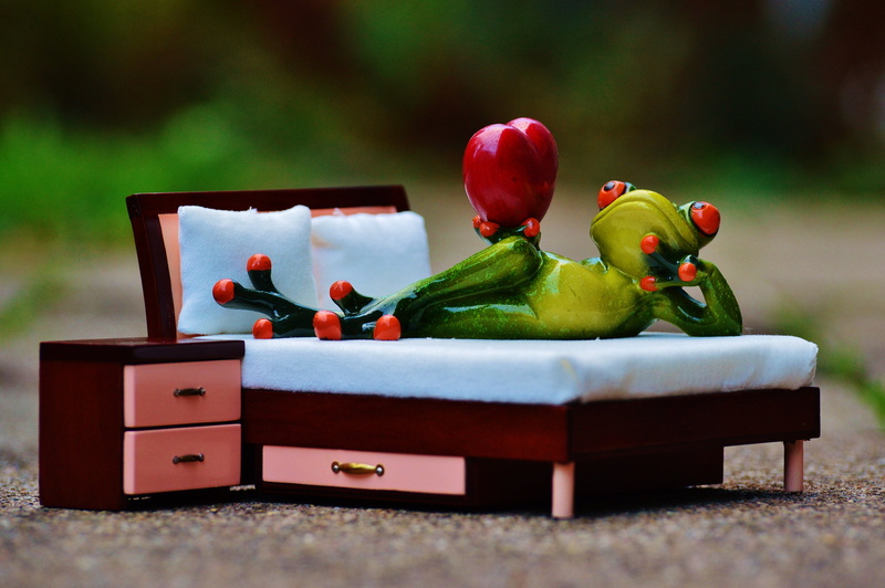 couch, nature, food, bell pepper, freshness, funny, vegetable, concerns, 4K, food and drink, red, figure, container, frog, no people, healthy eating, bed