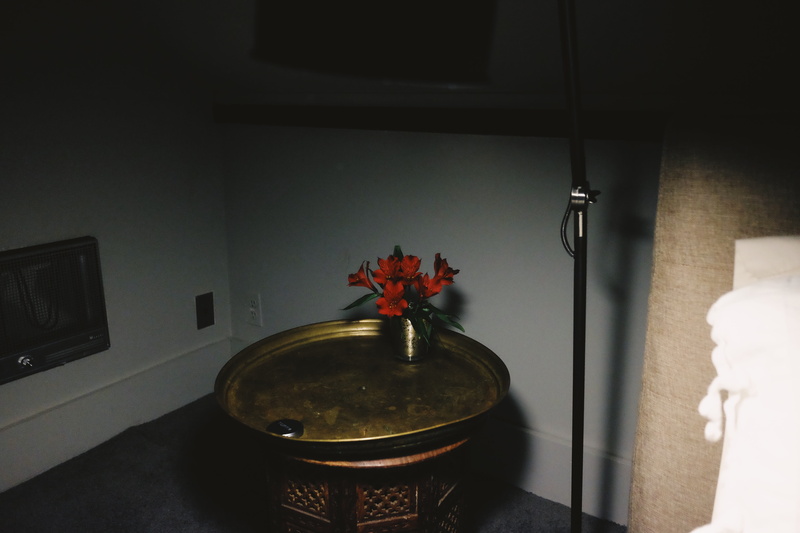 mount tremper, lighting equipment, architecture, nature, reflection, electric lamp, house, flower, home, indoors, lamp, heater, bedside, domestic room