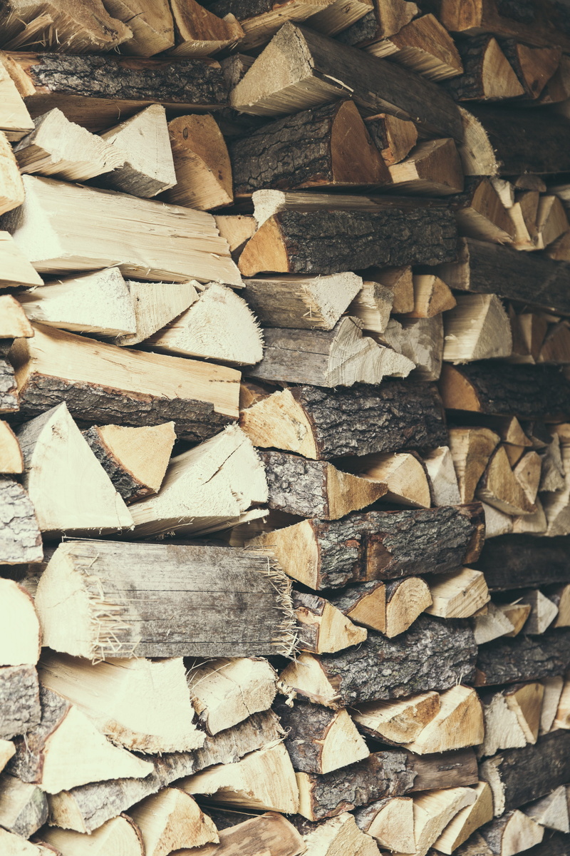 day, fire, deforestation, stacked, pile of wood, renewable, tree, Log, stacked up, firewood, forest, commodity, pattern, Hold, large group of objects, forestry