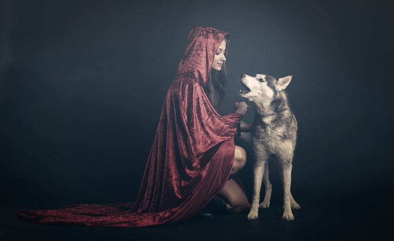 women, no people, 1080P, chains, indoors, dog, feline, domestic, mammal, domestic animals, animals, hoods, pets, cat, black background, one animal, robes