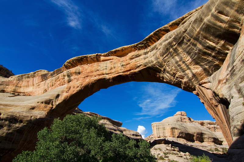 wilderness, Sipapu Bridge, rock, rock formation, rock - object, park, old ruin, beauty in nature, no people, plant, photo, arch, sandstone, tree, scenic