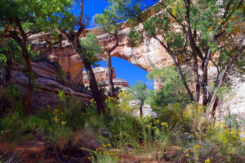 no people, colorful, stream, sipapu natural bridge, sky, scenics - nature, national, beauty in nature, rock - object, rock, forest, water, geological, solid