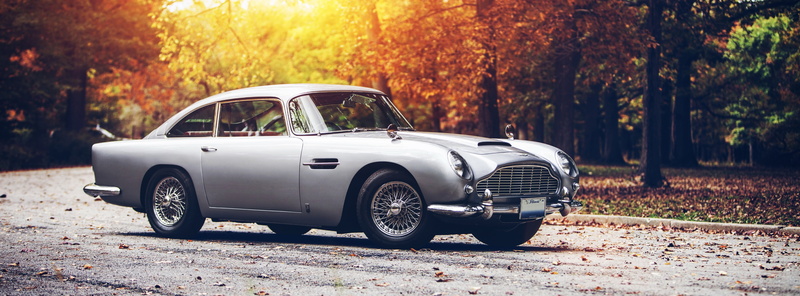 plant, Classic Cars, martin, focus on foreground, 5K, aston martin, Golden, change, outdoors, transportation, silver, retro styled, luxury, vintage car