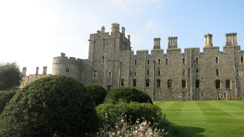 plant, castle, medieval, tower, attraction, landmark, monarch, nature, building, tourist, windsor castle, palace, britain, day, english, tree, history