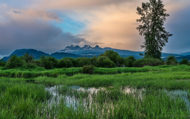 tranquility, plant, mountain, environment, 1080P, cloud - sky, nature, sky, land, non-urban scene, outdoors, beauty in nature, grass, computer  desktop background hd nature images 1920x1200