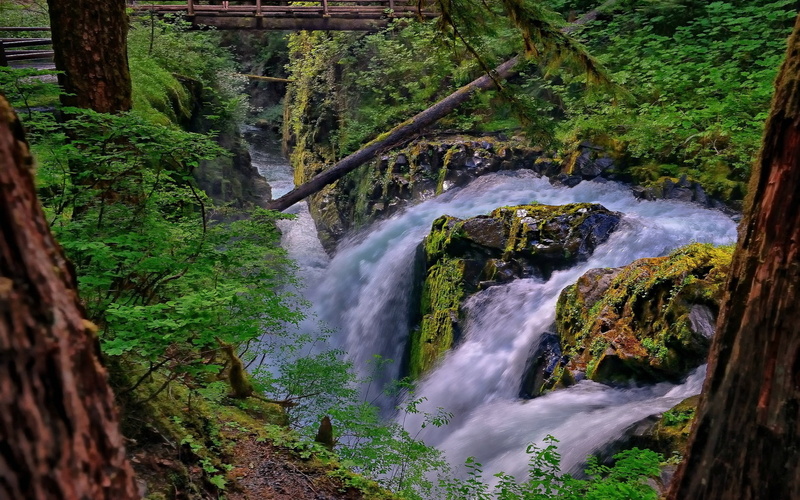 1080P, computer  desktop background hd nature images 1920x1200, plant, water, environment, beauty in nature, scenics - nature, flowing, power in nature
