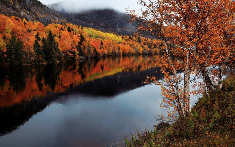 computer  desktop background hd nature images 1920x1200, 1080P