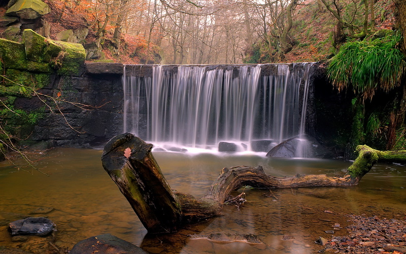 river, long exposure, tree, scenics - nature, rock, rainforest, motion, solid, forest, flowing, flowing water, beauty in nature, stream - flowing water