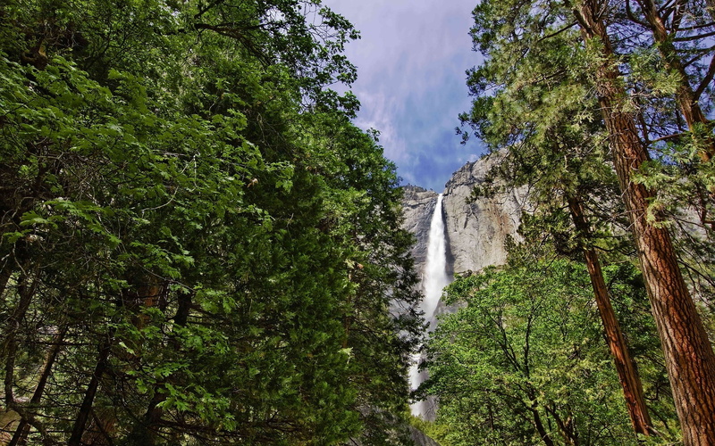 flowing, beauty in nature, plant, waterfall, long exposure, flowing water, no people, nature, land, tree, lush foliage, falling water, 1080P, non-urban scene