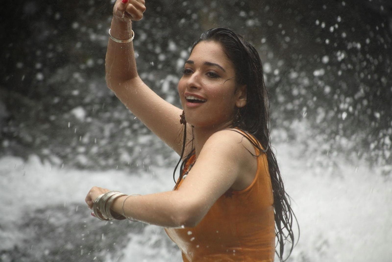 saree, telugu, bhatia, actress, 720P, bollywood, indian, tollywood, tamanna, hot, sexy