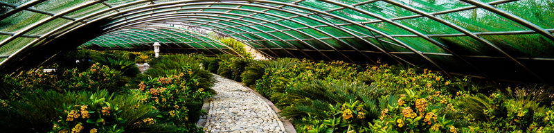 flowers, bridge, eco garden, built structure, bush, ishant mishra, 54, ishant, day, garedn, garden, direction, nature, green color, no people, travel destinations