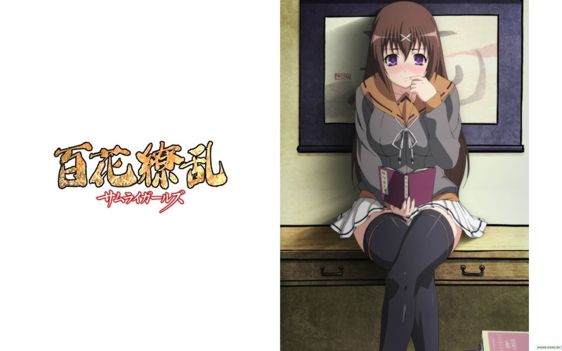 Tokugawa Sen, Hyakka Ryouran Samurai Girls, 1080P, anime girls