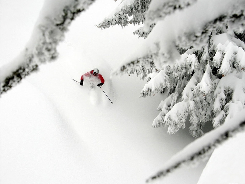 leisure Activity, red, mountain, scenics, sports And Fitness, adventure, poles, cold temperature, outdoors, ski Slope, beauty in nature, descent, skiing