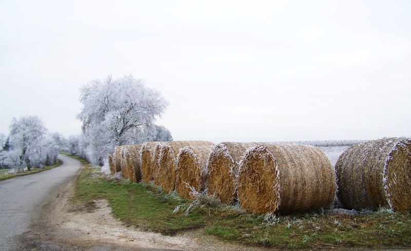 bale, agriculture, no people, hoary, road, landscape, hay, plant, tranquil scene, beauty in nature, land, day, nature, rimy, field, scenics - nature, outdoors