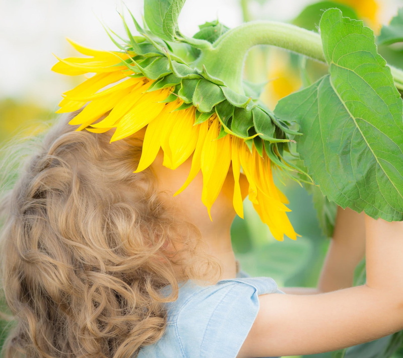 one person, nature, human hair, 720P, sunflower, hair, blond hair, obscured face, portrait, human body part, outdoors, flowers, lifestyles, flowering plant