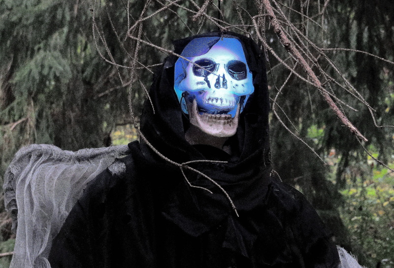 halloween, evil, events, reaper, scary, october, death, party, nature, costume, grim, 2K