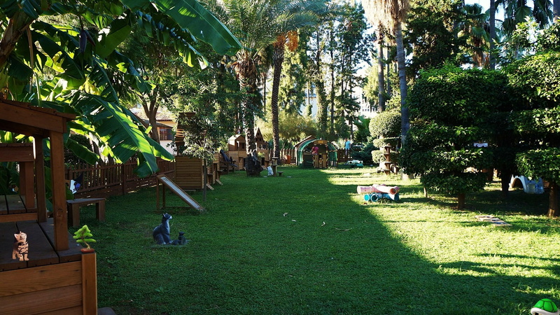 house, green, tango, cat, 1080P, flower, park, minipark