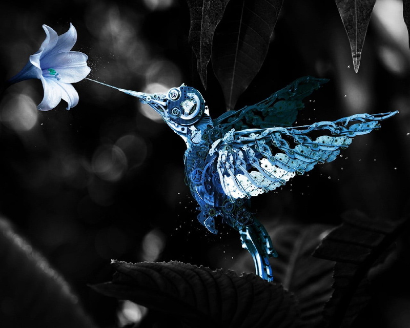beauty in nature, blue flowers, selective focus, machine, white, freshness, focus on foreground, 720P, vulnerability, selective coloring, flowering plant