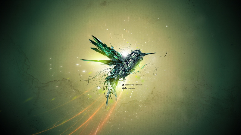 animals, hummingbirds, digital art, birds, Desktopography, nature, 2K