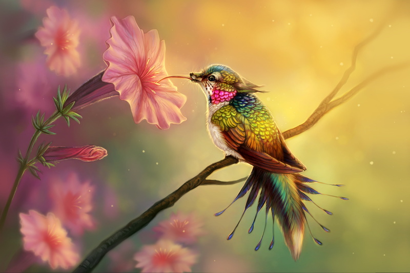 Fantasy Animals, 2K, Flower, Hummingbird, Bird, Fantasy, Creature, Colorful