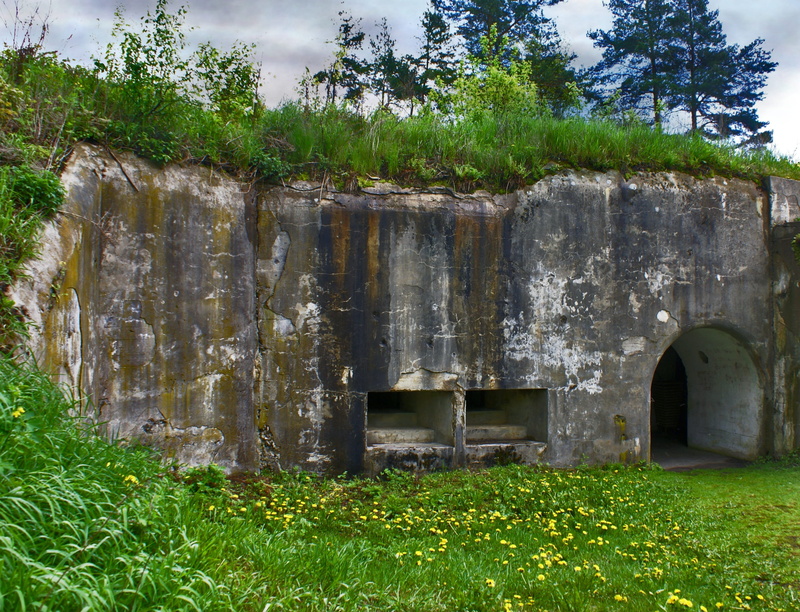 rural scene, tree, defensive wall, land, Defense, the fortifications, grass, the past, the design of the, growth, nature, building, old, Bunker, field
