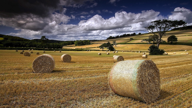 Clouds, Field, Hay, Farm, 1080P, Summer