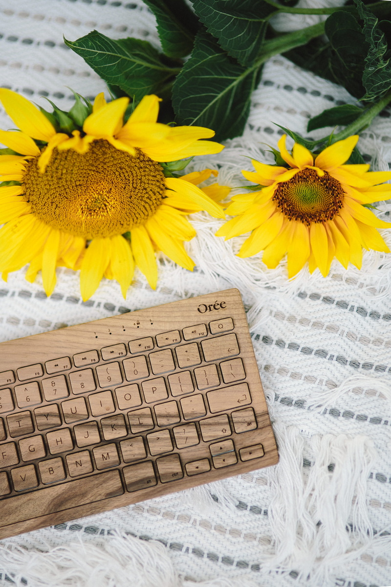 petal, summer, close-up, blanket, lifestyle, sunny, keyboard, technolofy, communication, message, wooden keyboard, white, vacations, oree keyboard, 4K