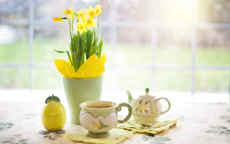table, Cup, still life, kettle, Narcissus, tea, flowers, 2K, vase