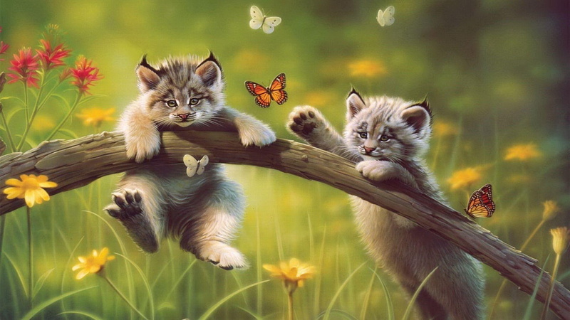 organism, wild cat, art, plant, tail, butterfly, kitten, cat, painting, field, branch, grass, wildlife, 1080P, artwork