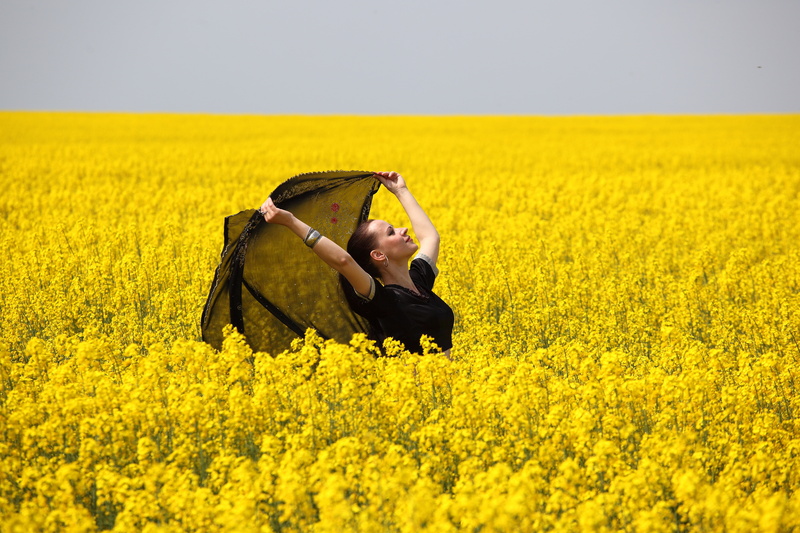 mood, yellow, 5K, shawl, rape, girl, field