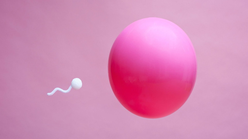 Mating, sperm, egg, Sexual, bokeh, Cell, man, DNA, Swimming, Medical, eggs, psychedelic, abstraction, 1080P, abstract, Male, life, 1sperm, vector, Swim