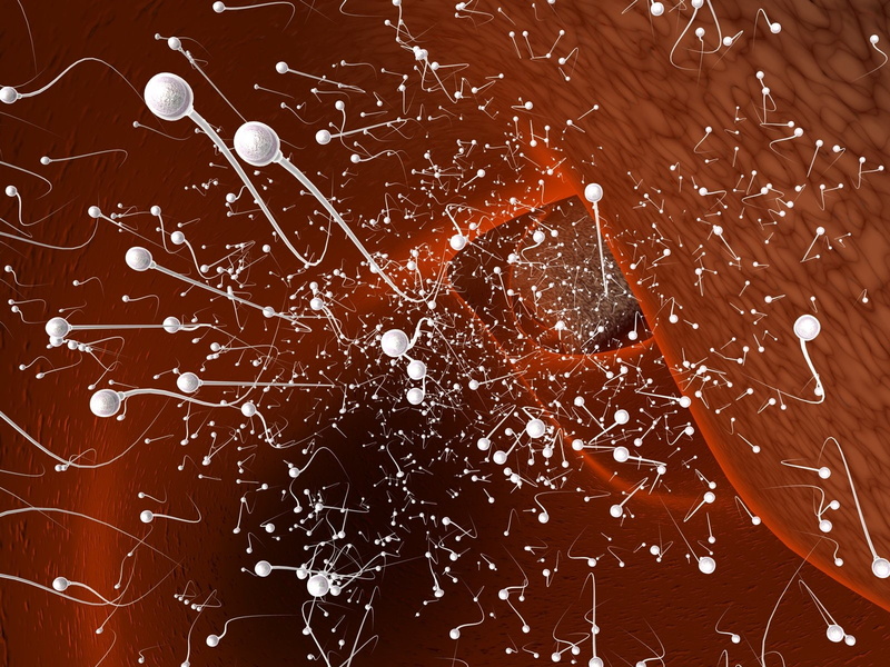 DNA, man, men, Mating, eggs, sperm, Cell, psychedelic, bokeh, Swimming, Medical, egg, vector, Sexual, life, 720P, abstraction, Male, Swim, abstract, Sex