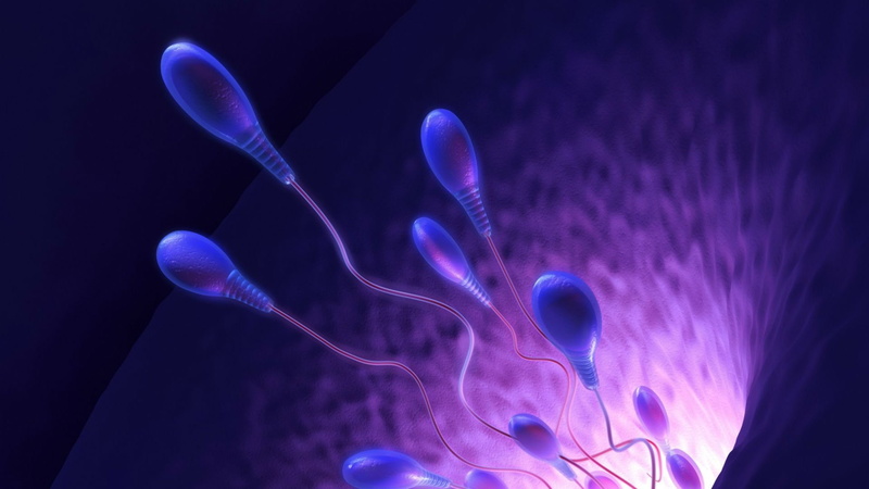 Swimming, abstract, Cell, Mating, life, Medical, abstraction, sperm, psychedelic, Sexual, 1080P, eggs, Male, vector, men, Sex, egg, bokeh, Swim, 1sperm