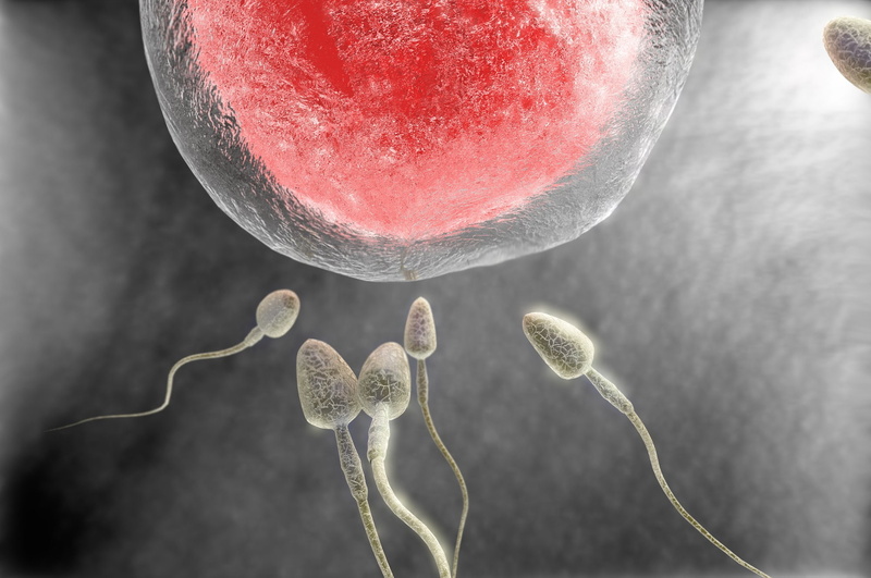 cell, swim, eggs, male, men, man, bokeh, medical, egg, psychedelic, vector, 1080P, abstract, swimming, dna, abstraction, life